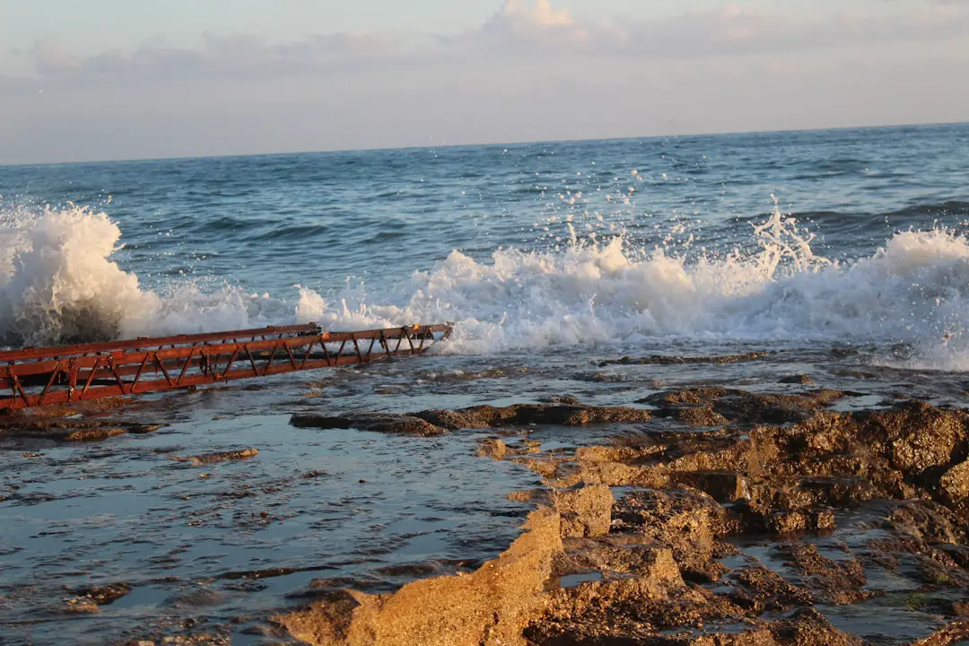 brown wooden dock on sea during daytime