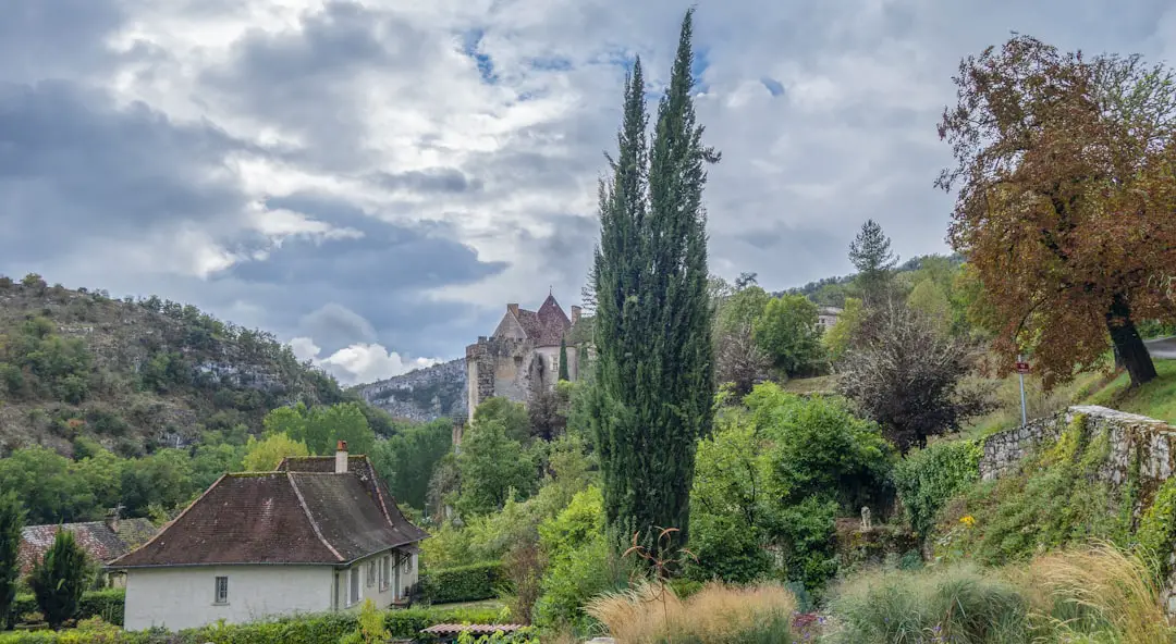 a house on a hill surrounded by trees and bushes