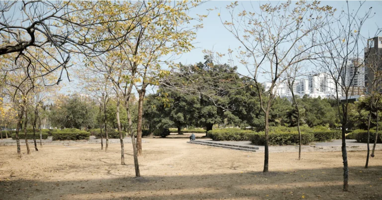 Featured image for How Is the RV Industry Expected to Grow in the Next Few Years 2025